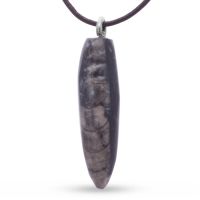 Natural Orthoceras Fossil Pendant On 18 Inch Brown Leather Chord