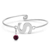 Initial Bangle Bracelet With White Crystal and Amethyst Crystal Birthstone, For February Babies