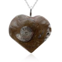 Natural Ammonite Fossil Heart Necklace With Sterling Silver Chain, 18 Inches
