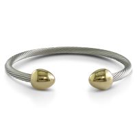 Twisted Steel & Gold Bracelet