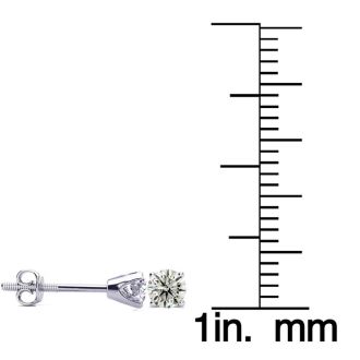 1/4 Carat Diamond Stud Earrings In 14 Karat White Gold. Incredible Deal!