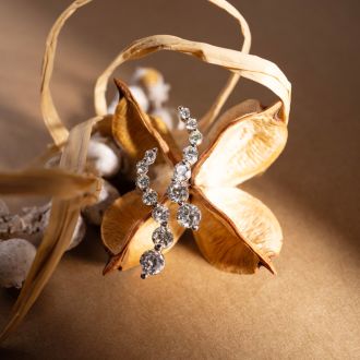 Diamond Drop Earrings: 1ct Journey Diamond Earrings in 14k White Gold