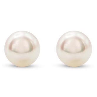Pearl Stud Earrings With 8MM AA Japanese Akoya Pearls In 14 Karat White Gold
