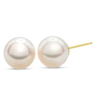 Pearl Stud Earrings With 9MM AA Japanese Akoya Pearls In 14 Karat Yellow Gold
