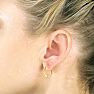 Swarovski Elements Crystal Heart Earrings in 18k Gold Overlay Image-4