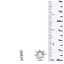 14K White Gold Flower Diamond Earring Jackets, Fits 1/4-1/2ct Stud Earrings Image-3