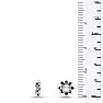 14K White Gold Flower Black Diamond Earring Jackets, Fits 1/4-1/2ct Stud Earrings Image-3