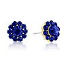 Passiana Mini Flower Crystal Earrings, Blue Image-1