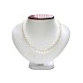 16 Inch 6mm AA Hand Knotted Pearl Necklace, 14K Yellow Gold Clasp Image-6