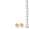 14 Karat Yellow Gold Polish Finished 8mm Ball Stud Earrings With Friction Backs  Image-2