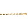 14 Karat Yellow Gold 2.30mm 18 Inch Rolo Link Chain Necklace Image-1