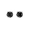 1/2ct Black Diamond Stud Earrings In White Gold Image-2