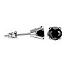 1/2ct Black Diamond Stud Earrings In White Gold Image-3