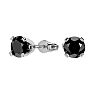 1ct Black Diamond Stud Earrings, 14k White Gold Image-1