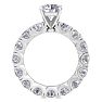 14 Karat White Gold 5 Carat Diamond Eternity Engagement Ring With 1 1/2 Carat Round Brilliant Center, Ring Size 6 Image-3