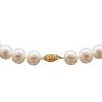 17 Inch 12mm AA Hand Knotted Pearl Necklace, 14k Yellow Gold Clasp
 Image-2