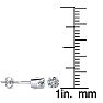 Colorless 1/3 Carat Diamond Stud Earrings 14 Karat White Gold. Genuine, Natural, Fiery, White Diamonds! Image-2