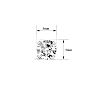 1 Carat Moissanite Screw Back Stud Earrings In 14K White Gold.  Fiery Amazing E-F Color, VVS Clarity Moissanite!  Very Popular! Image-4