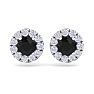 2 1/2 Carat Black Diamond Halo Stud Earrings In 14 Karat White Gold Image-2