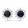 2 Carat Round Shape Flower Sapphire and Diamond Halo Stud Earrings In 14 Karat White Gold Image-3