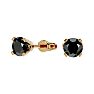 3/4ct Black Diamond Stud Earrings in 14k Yellow Gold Image-1