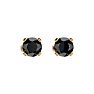 3/4ct Black Diamond Stud Earrings in 14k Yellow Gold Image-2