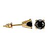 3/4ct Black Diamond Stud Earrings in 14k Yellow Gold Image-3