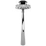 3/4 Carat Halo Black Diamond Engagement Ring In 14 Karat White Gold Image-4