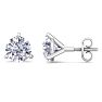 2 Carat Lab Grown Diamond Earrings In 14 Karat White Gold, Martini Setting Image-1