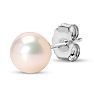 6mm Cultured Pearl Stud Earrings in 14 Karat White Gold Image-3