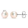 6mm Cultured Pearl Stud Earrings in 14 Karat White Gold Image-4