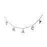 Tracy Name Necklace In White Gold Overlay, 8MM - 16 Inch Chain Image-1
