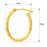 14 Karat Yellow Gold Satin Hoop Earrings, 20x15MM Image-5