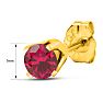 1/4 Carat Ruby Stud Earrings In Yellow Gold Image-5