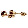 0.60 Carat Ruby Stud Earrings in Yellow Gold Image-4