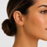 Jaclyn Smith Radiant Hoop Earrings In Gold Image-4