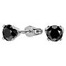 2ct Black Diamond Stud Earrings, 14k White Gold Image-1