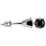 2ct Black Diamond Stud Earrings, 14k White Gold Image-3