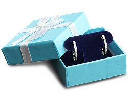 Standard Earring Box