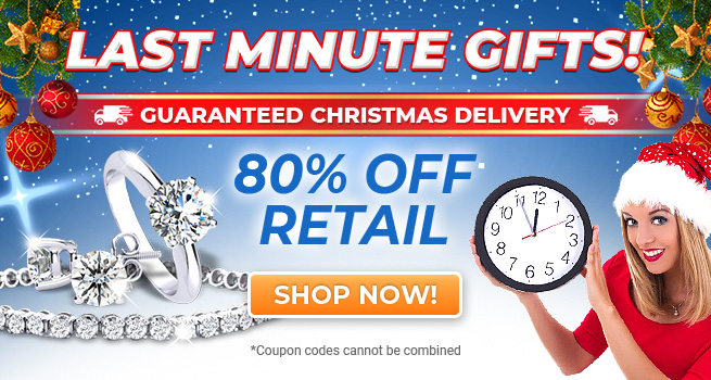 Last Minute Gifts! - Guaranteed Christmas Delivery - 80% Off Retail - Code: SaveBig - Shop Now!