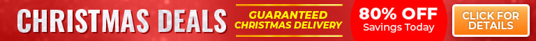 Christmas Deals - Guaranteed Christmas Delivery - Lock in 80% Off savings today - Limited Offers - Code: SJSAVE - Shop Now!